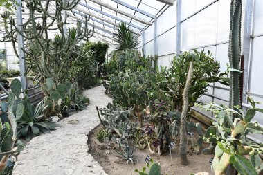 Palace Queen Mary ve Botanik Bahçesi (Balçık)