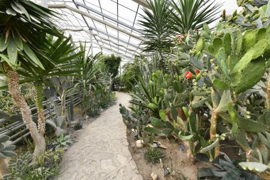 Palace Queen Mary ve Botanik Bahçesi (Balçık)