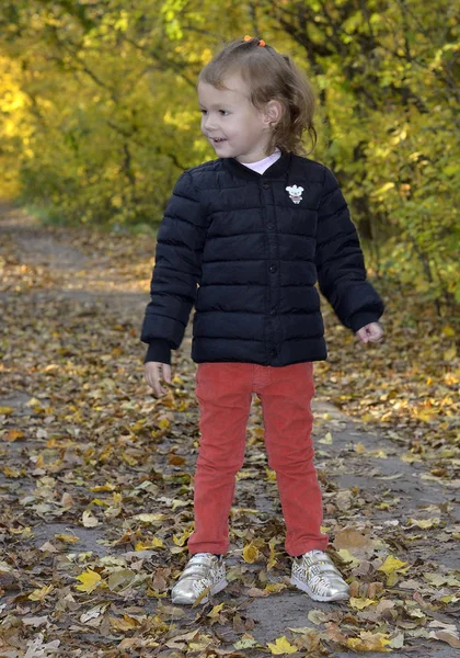 Kinderen Van Bloemen Van Leven Vreugde Betekenis Van Het Leven — Stockfoto