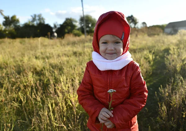 Kinderen Van Bloemen Van Leven Vreugde Betekenis Van Het Leven — Stockfoto