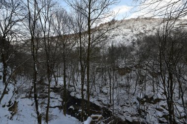Saharna Rezinsky bölge Moldova bir köydür. Saharna yeni ve Buchushka köyleri ile birlikte Saharna Noua komün bir parçasıdır.