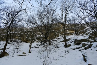 Saharna Rezinsky bölge Moldova bir köydür. Saharna yeni ve Buchushka köyleri ile birlikte Saharna Noua komün bir parçasıdır.