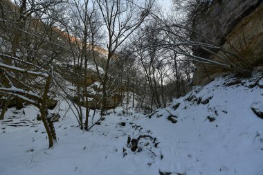 Saharna Rezinsky bölge Moldova bir köydür. Saharna yeni ve Buchushka köyleri ile birlikte Saharna Noua komün bir parçasıdır.