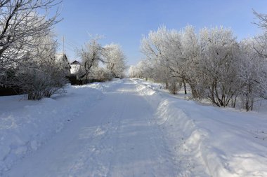 Korolevka - Köyü, Nikolaevsky köyü Konseyi, Tula bölgesi, Dnipropetrovsk region, Ukrayna.