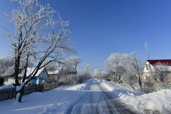 Korolevka Wieś Nikolaevsky Wieś Rady Nowomoskowsk District Region Dniepropietrowsk Ukraina — Zdjęcie stockowe