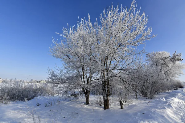 Korolevka Villaggio Consiglio Del Villaggio Nikolaevsky Distretto Novomoskovsk Regione Dnipropetrovsk — Foto Stock