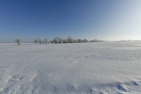 Korolevka Dorf Nikolaevsky Dorfrat Novomoskovsk Bezirk Dnipropetrovsk Gebiet Ukraine — Stockfoto