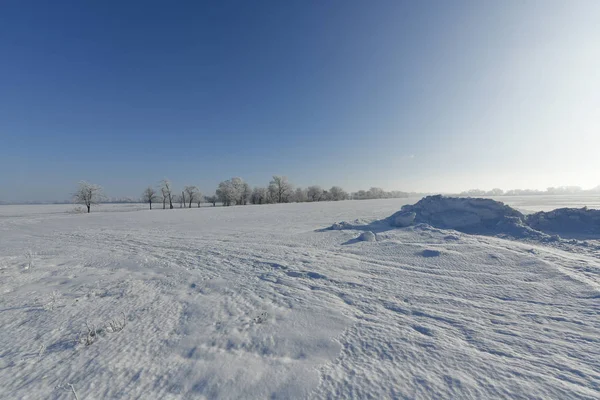 Korolevka Dorp Nikolaevsky Dorpsraad Novomoskovsk District Regio Dnjepropetrovsk Oekraïne — Stockfoto