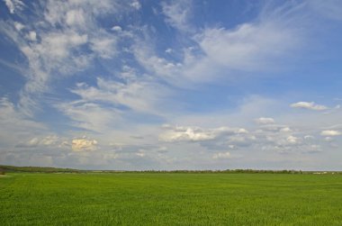 Kırsal kesimde bahar manzaraları. Şehir Novomoskovsk Ukrayna.