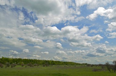 Kırsal kesimde bahar manzaraları. Şehir Novomoskovsk Ukrayna.