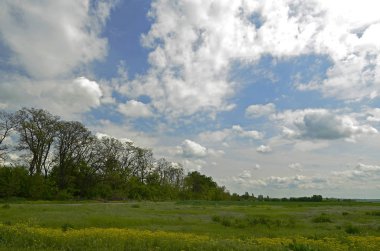 Kırsal kesimde bahar manzaraları. Şehir Novomoskovsk Ukrayna.