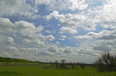 Kırsal kesimde bahar manzaraları. Şehir Novomoskovsk Ukrayna.