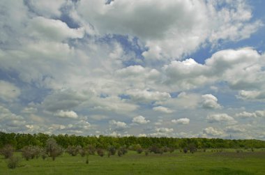 Kırsal kesimde bahar manzaraları. Şehir Novomoskovsk Ukrayna.