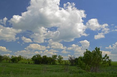 Kırsal kesimde bahar manzaraları. Şehir Novomoskovsk Ukrayna.