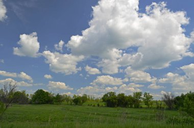 Kırsal kesimde bahar manzaraları. Şehir Novomoskovsk Ukrayna.