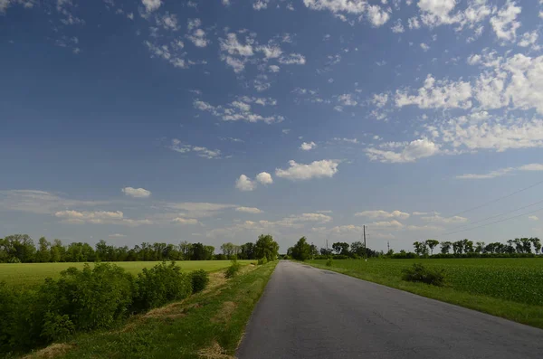 Krajobrazy Wiejskie Wioska Mykolayivka Nikolaevsky Village Council Petropavlovsky District Dniepropietrowskaja — Zdjęcie stockowe