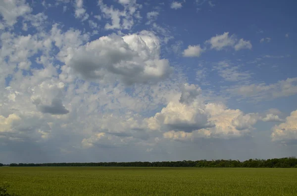 田舎の風景 ミコレイエフカ村 ニコラエフスキー村議会 ペトロパブロフスキー地区 ドニエプロペトロフスク地域 ウクライナ — ストック写真