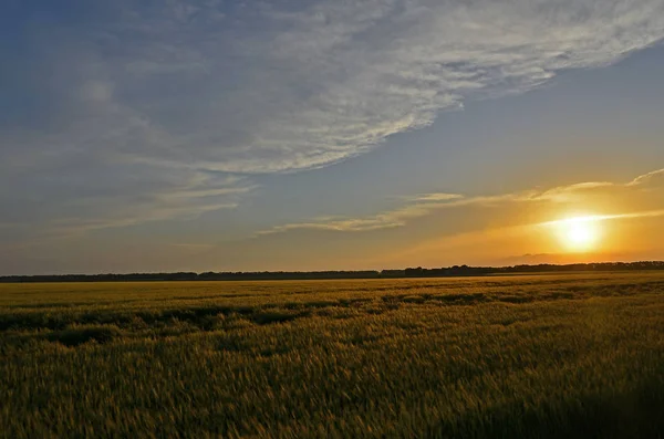 Paisagens Rurais Mykolayivka Aldeia Conselho Aldeia Nikolaevsky Distrito Petropavlovsky Região — Fotografia de Stock