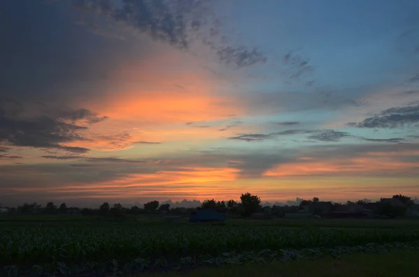 Zonsondergang Het Platteland Korolevka Village Nikolaevsky Village Council Novomoskovsk District — Stockfoto