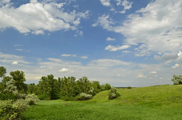 Ländliche Landschaften Neues Dorf Nikolaevsky Dorfrat Novomoskovsk Bezirk Dnipropetrovsk Gebiet — Stockfoto