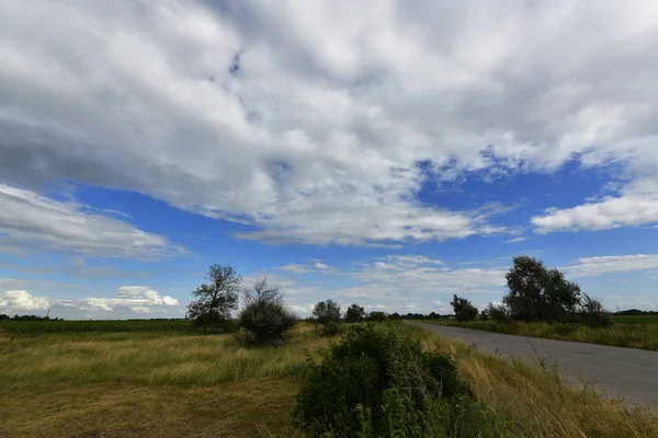 Letní Krajina Přírodě Město Novomoskovsk Ukrajina — Stock fotografie