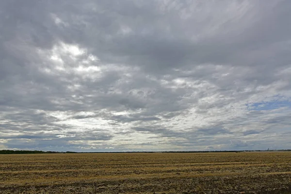 Sommerlandschaften Der Natur Maryanovka Dorf Maryanovsky Gemeinderat Novomoskovsky Bezirk — Stockfoto