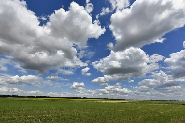 Paisagens Rurais Pitorescas Aldeia Korolevka Ucrânia — Fotografia de Stock