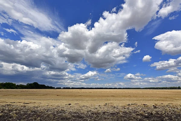 Picturesque Rural Landscapes Village Korolevka Ukraine — Stock Photo, Image