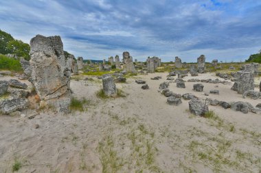 Taş orman minyatür bir kum çölüdür, tamamen taş sütunlarla benekli..