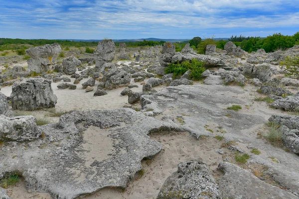 Taş orman minyatür bir kum çölüdür, tamamen taş sütunlarla benekli..