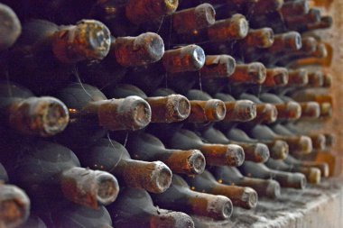 Moldova, Milestii Mici 04 / 24 / 2017. Milestii Mici, dünyanın en büyük şarap koleksiyonuna sahip en büyük yeraltı şarap deposu. Yaklaşık 85 metre derinlikte yer almaktadır.