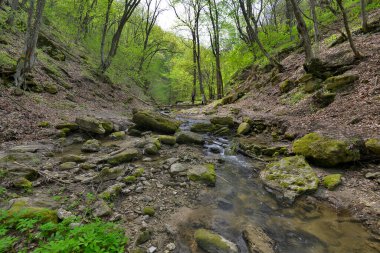 Sahra manastırı kompleksi bir kaya manastırı, antik taş kiliseler, ek binalar ve birkaç ek bina içerir. Manastır aktif, sadece turistler tarafından değil, Ortodoks hacılar tarafından da ziyaret ediliyor..