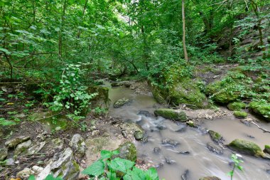 Güneşli Moldova 'da seyahat. Güzel manzaralı ve lezzetli şaraplı bir ülke..