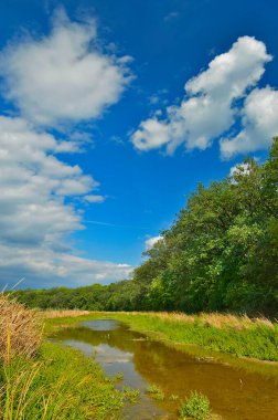 Güzel manzara, Ukrayna Novomoskovsk şehri.