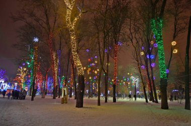 Ukrayna, Dnipro 01 / 13 / 2013. Yeni Yıl Şehri Dnepropetrovsk Ukrayna.