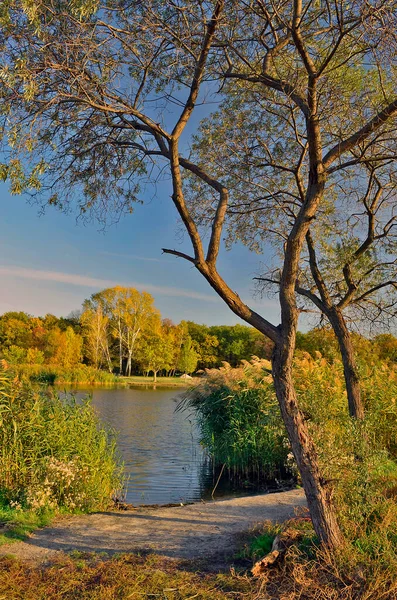 Samara Nehri Ukrayna Dinyeper Karadeniz Havzasının Sol Kolu Nehrin Uzunluğu — Stok fotoğraf