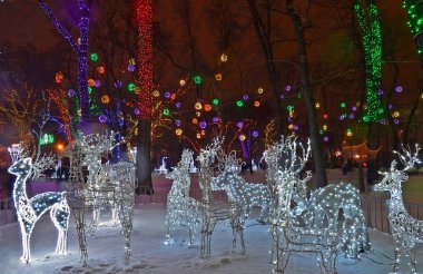 Ukrayna, Dnipro 01 / 13 / 2013. Yeni Yıl Şehri Dnepropetrovsk Ukrayna.