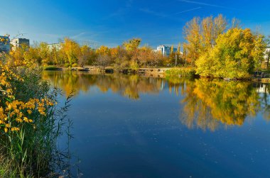 Samara Nehri Ukrayna 'da, Dinyeper' in (Karadeniz havzasının) sol kolu. Nehrin uzunluğu 311 km.. 