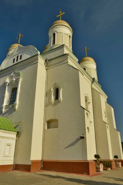 Zimnensky Kutsal Dormition Manastırı, Volodymyr-Volyn piskoposluğundaki Ukrayna Ortodoks Kilisesi manastırı. Luga (Lug) nehrinin üzerindeki Kutsal Tepeler 'de, Zimny köyünün yakınında yer alır..