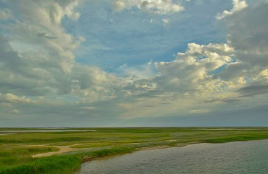 Arap Strelka ya da Arap Tükürüğü, Kırım Yarımadası 'nın kuzeydoğu kısmında Sivash Körfezi' ni denizden ayıran kabuk malzemelerinden oluşan dar ve uzun bir kara şerididir..