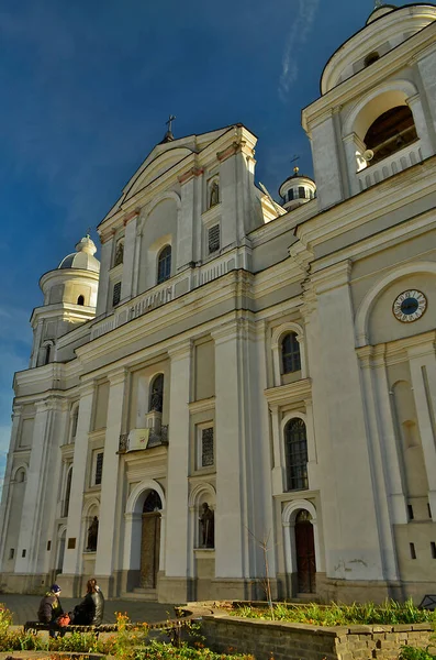 Ucrania Lutsk 2013 Catedral Los Santos Apóstoles Pedro Pablo Una — Foto de Stock