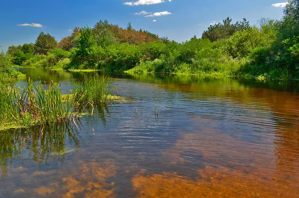 Piękna Przyroda Rzeka Lesie Orel Rzeka Przepływająca Przez Terytorium Ukrainy — Zdjęcie stockowe
