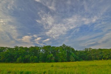 Güzel manzara, orman, tarla ve gökyüzü.