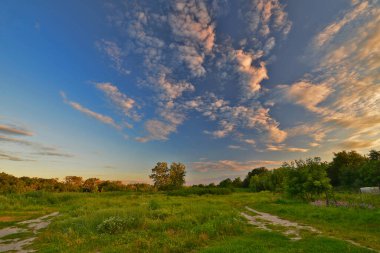 Güzel manzara, orman, tarla ve gökyüzü.