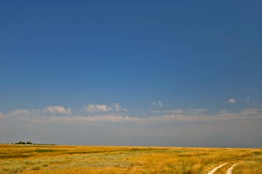 Biryuchiy Ostrov, Fedotova Spit 'in güneyde yer alan ve Azov Denizi' nin batısında yer alan bir tükürüktür. Fedotova Tükürüğünün dar kuzey kısmıyla birlikte Biryuchiy Ostrov Utlyuk Estuary 'i oluşturur..