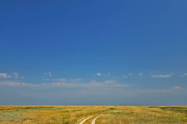 Biryuchiy Ostrov, Fedotova Spit 'in güneyde yer alan ve Azov Denizi' nin batısında yer alan bir tükürüktür. Fedotova Tükürüğünün dar kuzey kısmıyla birlikte Biryuchiy Ostrov Utlyuk Estuary 'i oluşturur..