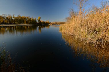 Samara Nehri Ukrayna 'da, Dinyeper' in (Karadeniz havzasının) sol kolu. Nehrin uzunluğu 311 km.. 