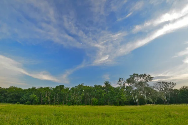 Hermoso Paisaje Bosque Campo Cielo — Foto de Stock