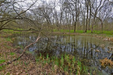 Samara Nehri Ukrayna 'da, Dinyeper' in (Karadeniz havzasının) sol kolu. Nehrin uzunluğu 311 km.. 