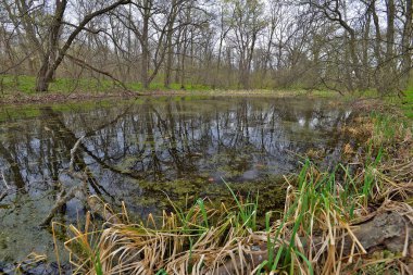 Samara Nehri Ukrayna 'da, Dinyeper' in (Karadeniz havzasının) sol kolu. Nehrin uzunluğu 311 km.. 